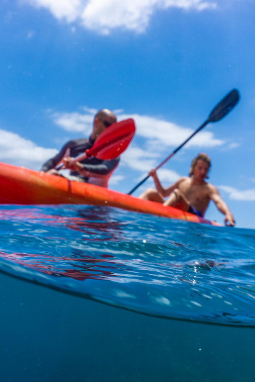 Funchal: KAYAK Rental or Guided tour with snorkeling - Price and value at about $29 per person