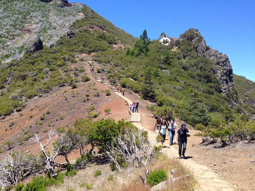 Funchal: Pico do Arieiro & Pico Ruivo Hiking Transfer - Getting From Funchal to Pico do Arieiro in a Shared Van