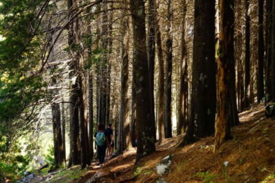 Pico do Arieiro Sunrise Plus 2 extra Hiking Trails