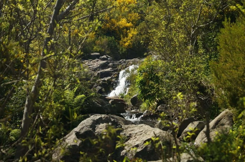 Funchal: Pico do Arieiro Sunrise Plus 2 extra Hiking Trails - Lunch at Forest: A Real Reset, Not a Token Break