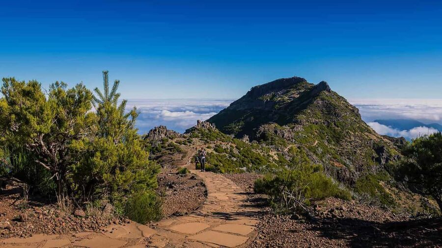 Funchal: PR1.2 Pico Ruivo & Achada Teixeira Hiking Transfer - Van pickup from Funchal and the drive to Achada do Teixeira