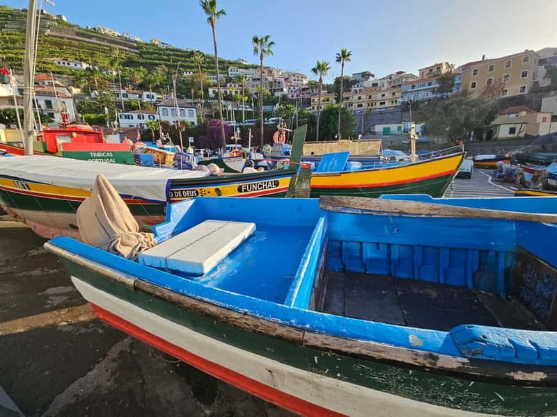 Funchal: Private Cable Car, Toboggan, and Skywalk Tour - Key highlights worth your attention