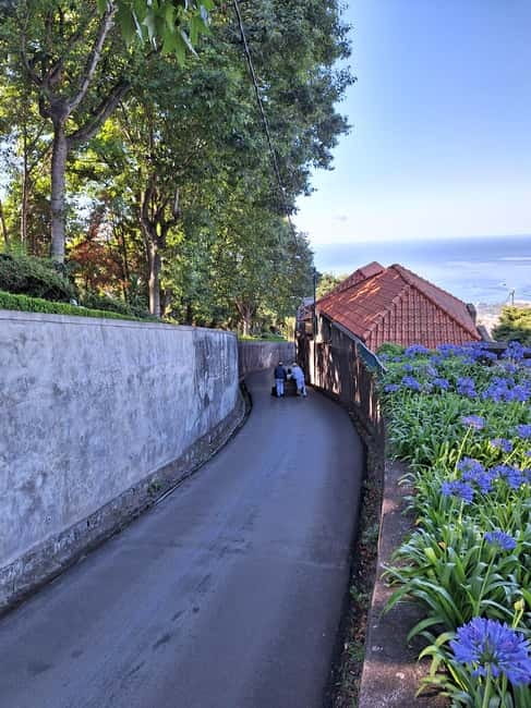 Funchal: Private Cable Car, Toboggan, and Skywalk Tour - Madeira Tropical Garden: 90 minutes that feel slower than the clock