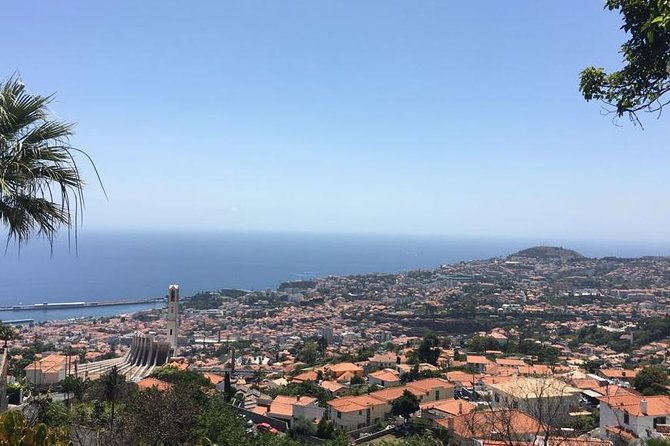 Funchal Private Transfers Service to Madeira Airport - Key points to know before you go