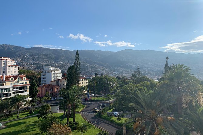Funchal Private Transfers Service to Madeira Airport - Hotel, Apartment, or Airbnb Pickup, With Real Door-to-Door Logic