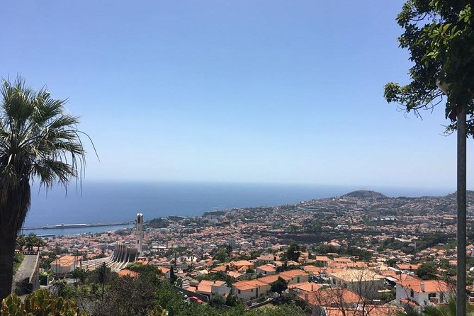 Funchal Private Vehicle Service with Driver for a Half Day or Full Day - Choosing 4 hours vs 6 hours, and how the limits feel in practice