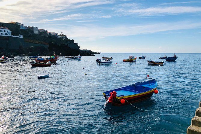 Funchal Private Vehicle Service with Driver for a Half Day or Full Day - Hotel, Airbnb, or cruise terminal pickup in Funchal without stress