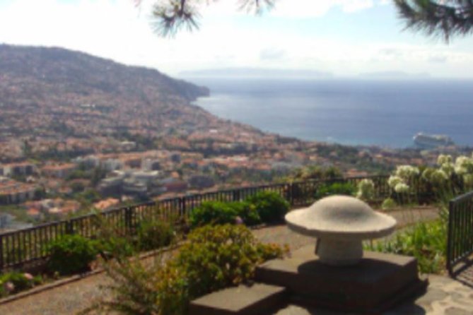 Funchal Shore Excursion:Private Stunning and scenic Nuns Valley Tour - Key highlights you’ll care about