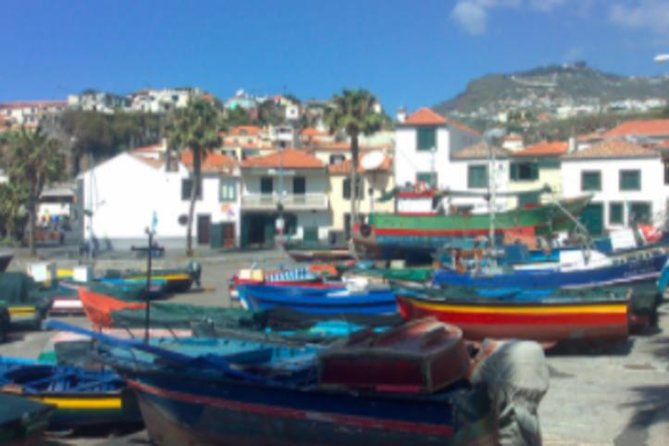 Funchal Shore Excursion:Private Stunning and scenic Nuns Valley Tour - Pico dos Barcelos: your first big view over Funchal