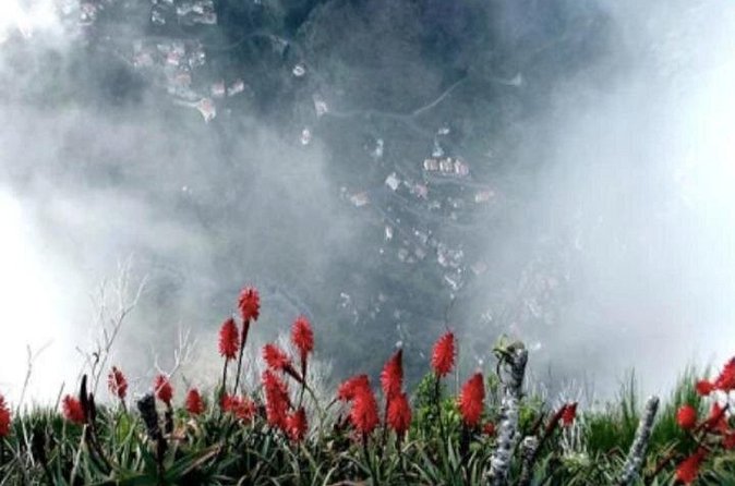 Funchal Shore Excursion:Private Stunning and scenic Nuns Valley Tour - What you actually get for $80.56 per person