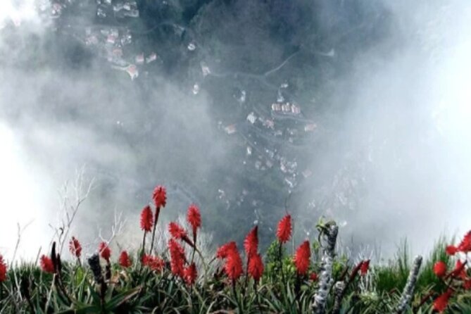 Funchal Shore Excursion:Private Stunning and scenic Nuns Valley Tour - Who this Nuns Valley loop suits best