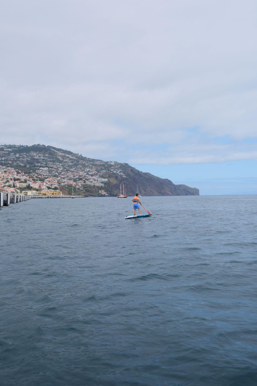 Funchal: Standup Paddle - What the Experience Provider Sets Up for You