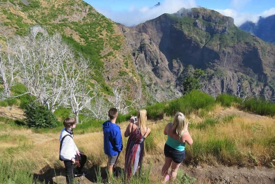 Funchal: Surprise Madeira Highlights for Cruise Guests - Why a Surprise 4x4 Jeep Route Works So Well in Funchal