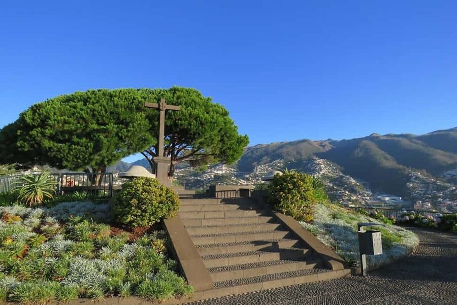 Funchal: Surprise Madeira Highlights for Cruise Guests - Price and Value: Is $64 a Good Deal for a Half-Day Jeep Tour?
