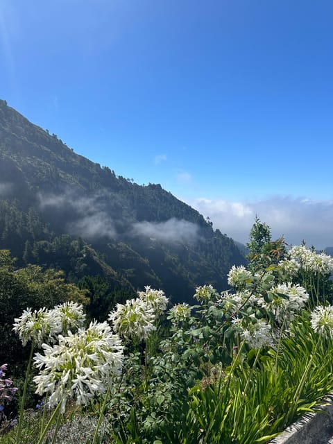 Funchal: Valley of the Nun’s tour by tuk tuk - Key Highlights at a Glance