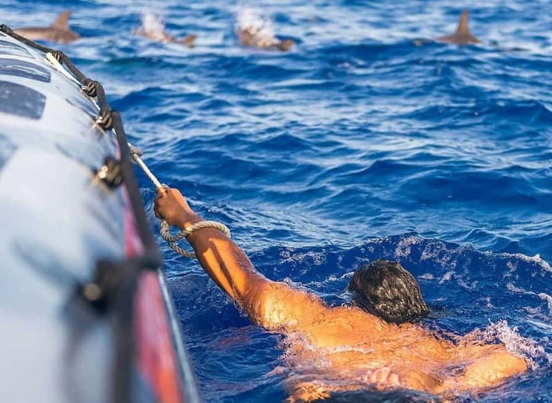 Funchal: Whale Watching and Swimming with Dolphins Cruise - Getting sorted fast: safety briefing and the quick start