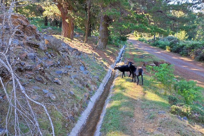 Gastro hike (Private Tour) - Who this Gastro hike is best for