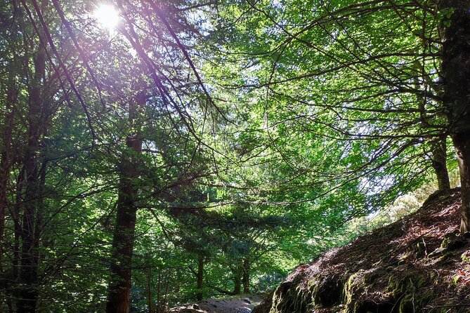 Gastro hike (Private Tour) - From pickup to the walking start: how a 5-hour day flows