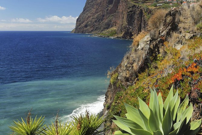Grand Madeira Island Tour - Porto Moniz and Santana - Price and what $300.38 per group really buys you