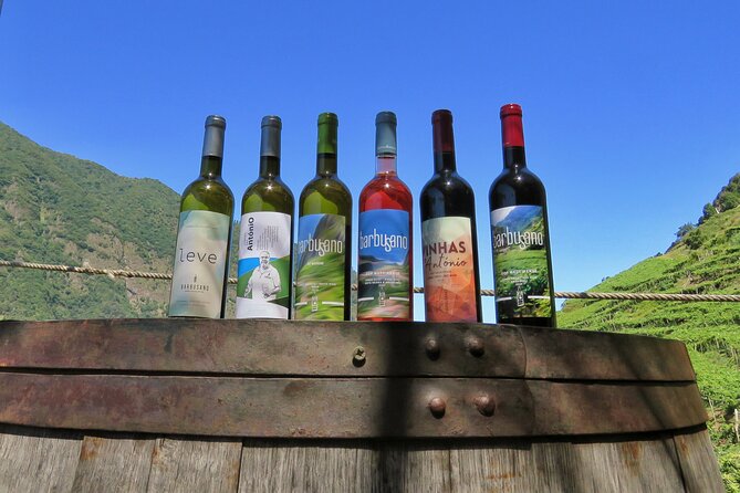 Guided 4x4 Adventure and Skywalk with Wine and Tapas in Madeira - Key highlights to know before you go