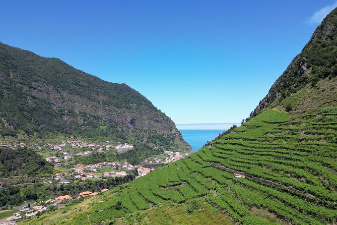 Guided 4x4 Adventure and Skywalk with Wine and Tapas in Madeira - Quinta do Barbusano winery stop: 6 wines with tapas, cheese, and chorizo