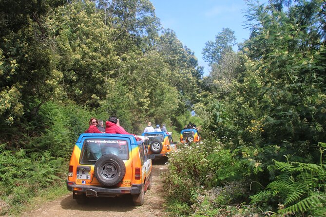 Guided Exploration of Southwest Madeira in a 4x4 - Southwest Madeira by 4x4: Why This Route Works