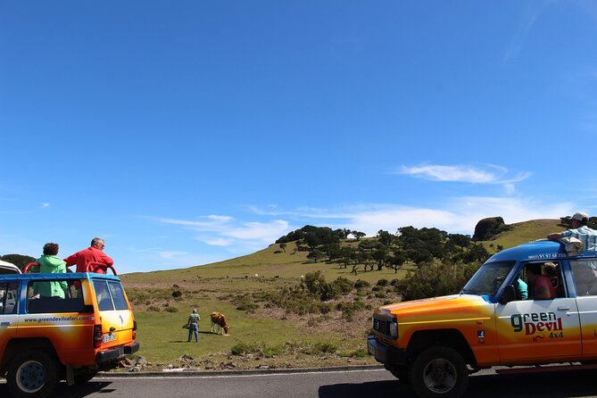 Guided Exploration of Southwest Madeira in a 4x4 - Ponta do Sol and Praia Ponta do Sol: Sun Point Views, Then Quick Beach Time