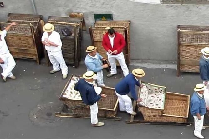 Guided Toboggan Ride and Madeira Wine Tasting Tour - What to expect during the 10-minute descent (and how to enjoy it safely)