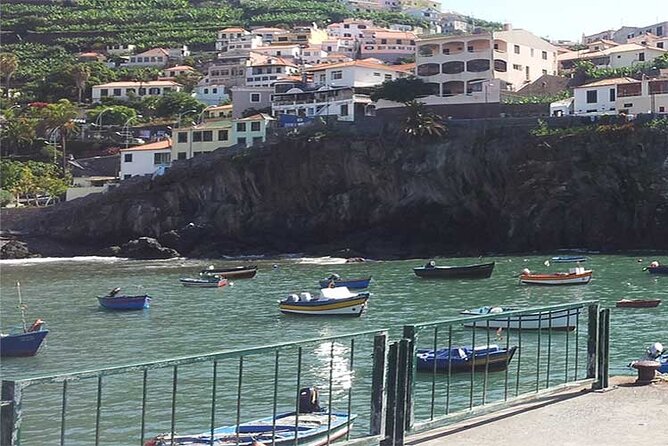 Guided Toboggan Ride and Madeira Wine Tasting Tour - Henrique e Henrique in Câmara de Lobos: Madeira wine tasting with big visible barrels