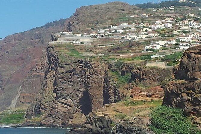 Guided Toboggan Ride and Madeira Wine Tasting Tour - Best for first-timers, couples, and anyone who likes mixing food with thrills