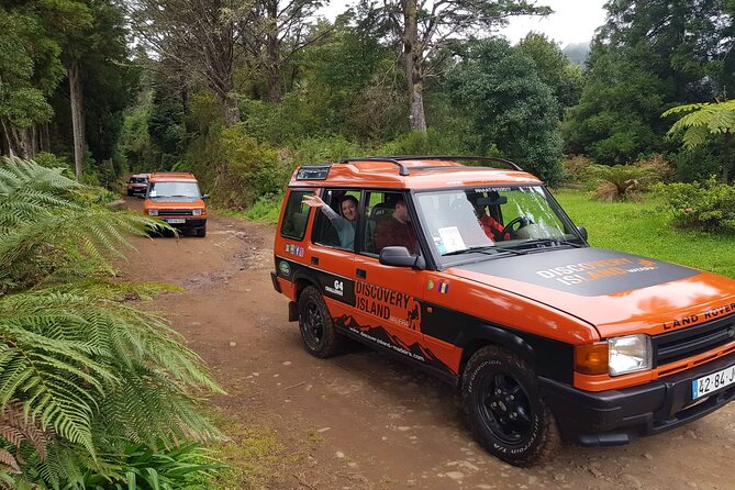 Half Day Jeep Safari Tour at Pico Areeiro and Santo da Serra - Portela off road route: where the Jeep part becomes the story