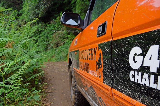 Half Day Jeep Safari Tour at Pico Areeiro and Santo da Serra - Guides and comfort: why this tour feels personal