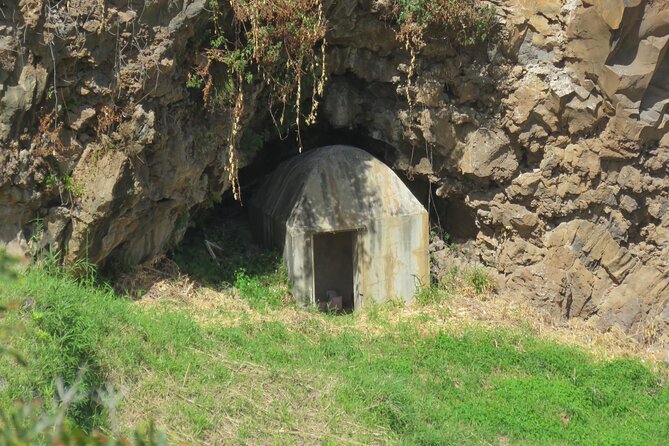 Half day jeep Wine tour and tasting, & sea cliff adventure - Who should book this half day tour from Funchal