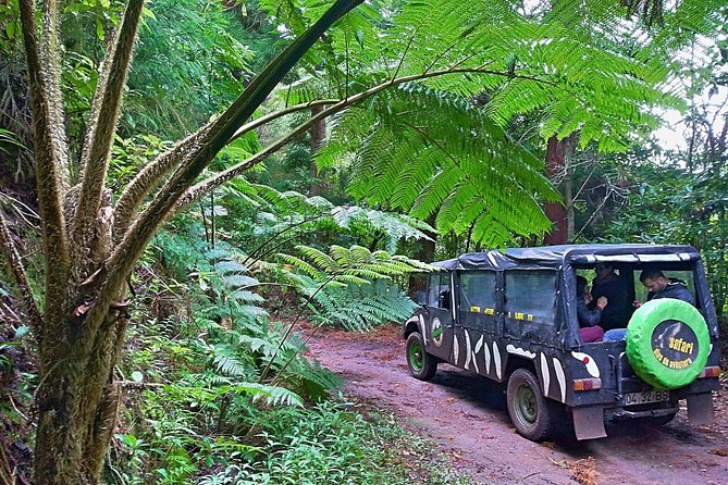 Half-Day Small-Group Madeira Village Safari from Funchal - Key highlights worth planning for