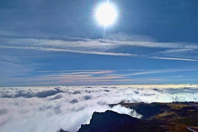Half-Day Small-Group Madeira Village Safari from Funchal - Price and value: what $53.23 buys you