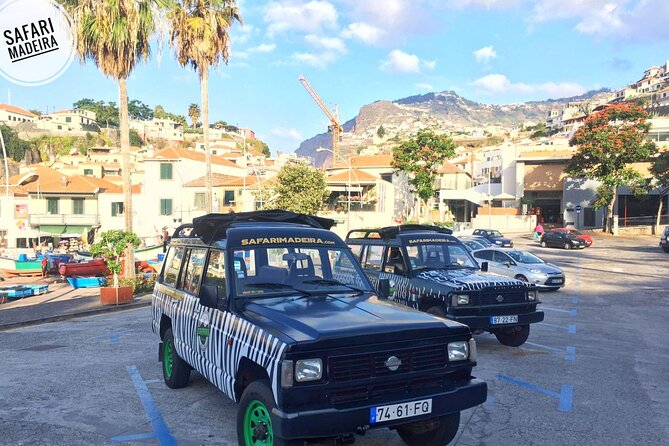 Half-Day Small-Group Madeira Village Safari from Funchal - Stop 1: Câmara de Lobos Bay for iconic fishing-boat color