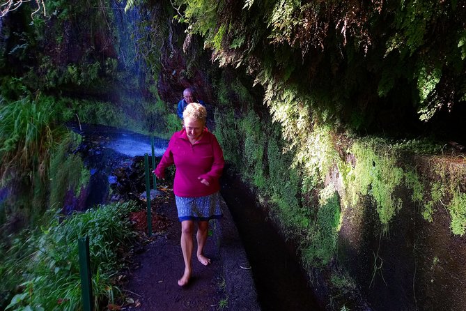 Hike in Laurisilva Levada do Rei - Madre of Life small Group guided walk - What makes it special: Levada do Rei with a guide in Laurisilva