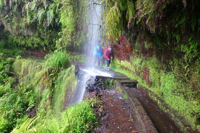 Hike in Laurisilva Levada do Rei - Madre of Life small Group guided walk - Key highlights you will feel on the trail