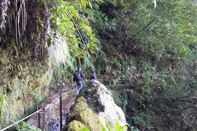 Hike in Laurisilva Levada do Rei - Madre of Life small Group guided walk - Stop by stop: Levada do Rei and what to watch for