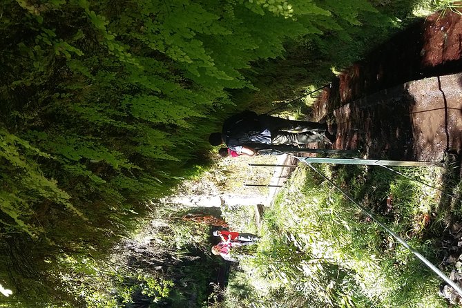 Hike in Laurisilva Levada do Rei - Madre of Life small Group guided walk - Price and logistics: what you are paying for, and what can cost extra