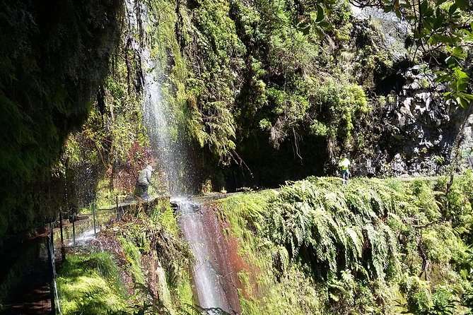 Hike in Laurisilva Levada do Rei - Madre of Life small Group guided walk - What to pack for a Madeira levada hike in all-weather conditions