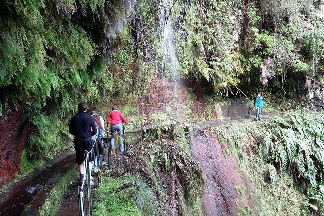 Hike in Laurisilva Levada do Rei - Madre of Life small Group guided walk - Who this tour fits best (and who might want a different plan)