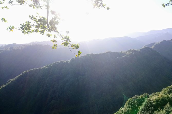 Hike in Laurisilva Levada do Rei - Madre of Life small Group guided walk - Laurisilva and the Levada do Rei: what this walk is really about
