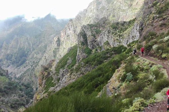 Hike Larano, Boca do Risco Porto da Cruz Levada in a small group - Lunar Footprints, Levada Passing, and Coastal Lookouts