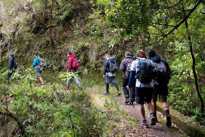 Hiking and Trekking tours in Madeira - Key things I think you will love about this Levadas hike