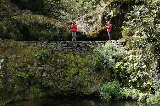Hiking and Trekking tours in Madeira - Driving time matters, and the air-conditioned vehicle helps you enjoy the start