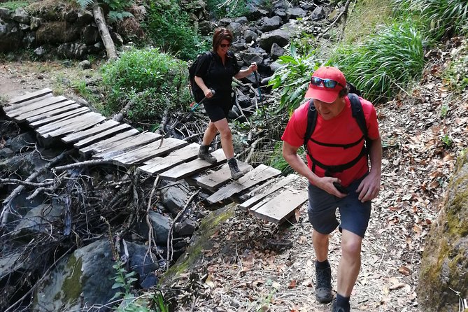 Hiking and Trekking tours in Madeira - Nature talk in English, and why it is worth paying attention