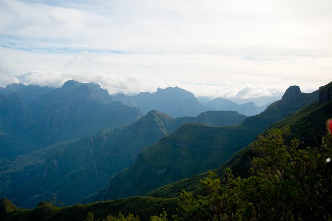 Hiking and Trekking tours in Madeira - End-of-hike timing, and a small poncha detail from a review