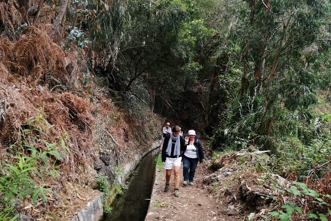 Hiking and Trekking tours in Madeira - Photos and scenery: what you can realistically expect to capture