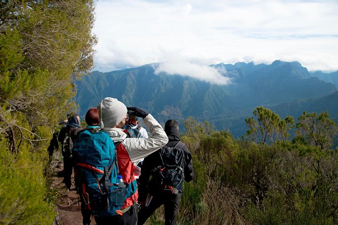 Hiking and Trekking tours in Madeira - The pace, the group size, and why max eight changes the whole feel